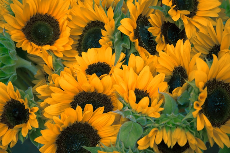Bouquet 7